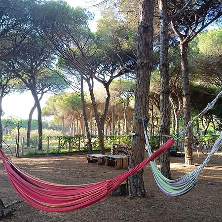 The Pineforest Cabin Chiclana de la Frontera Buitenkant foto