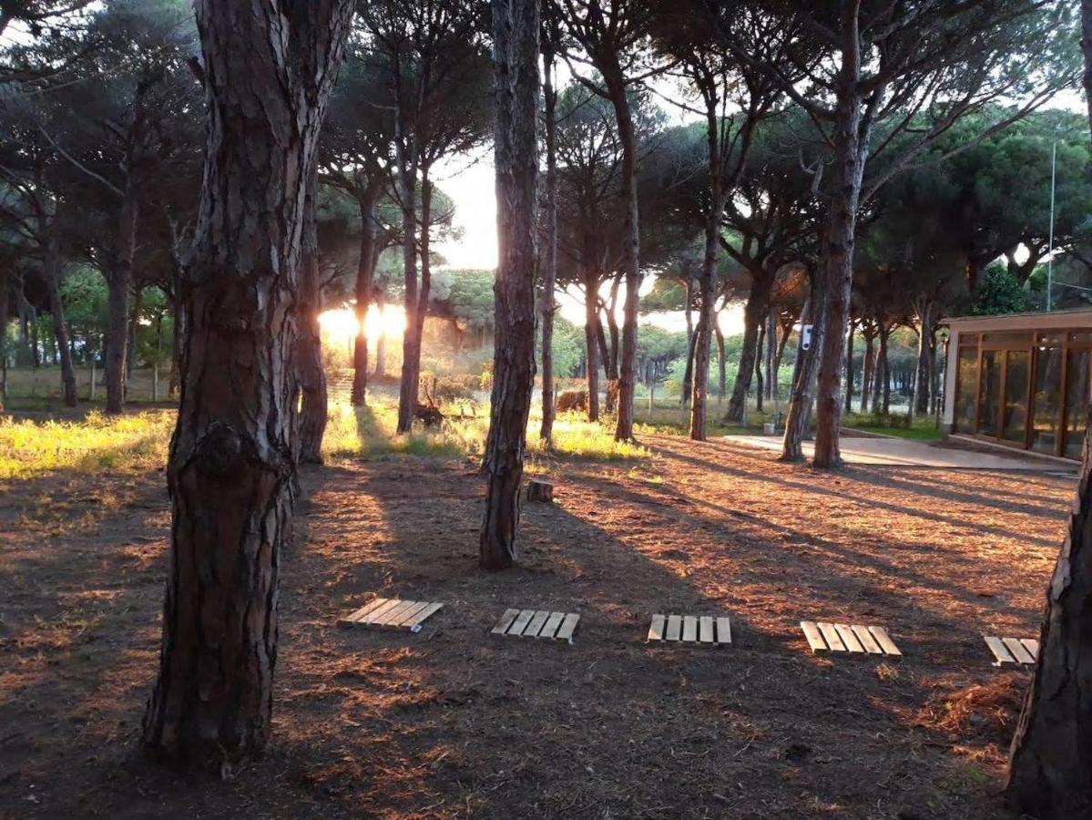 The Pineforest Cabin Chiclana de la Frontera Buitenkant foto