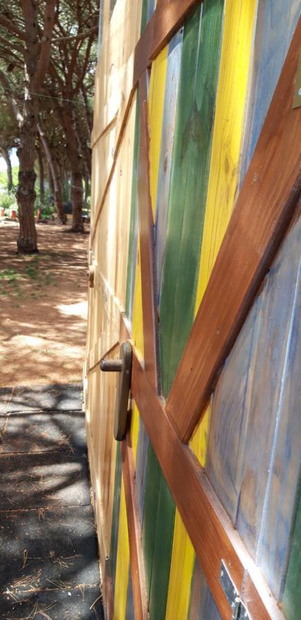 The Pineforest Cabin Chiclana de la Frontera Buitenkant foto