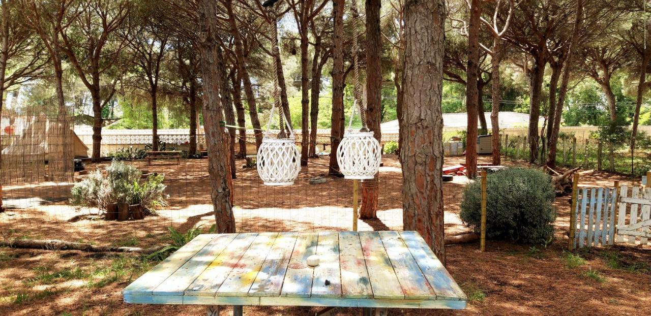 The Pineforest Cabin Chiclana de la Frontera Buitenkant foto