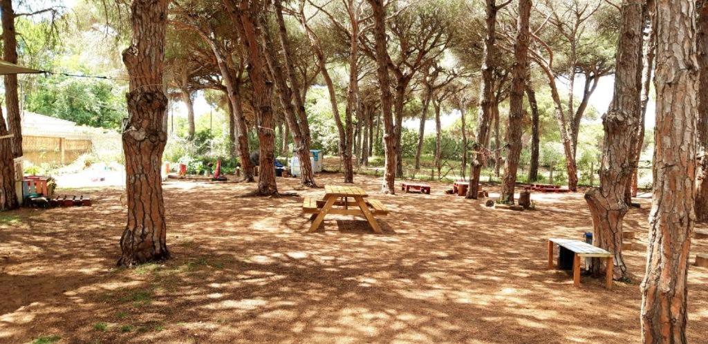 The Pineforest Cabin Chiclana de la Frontera Buitenkant foto