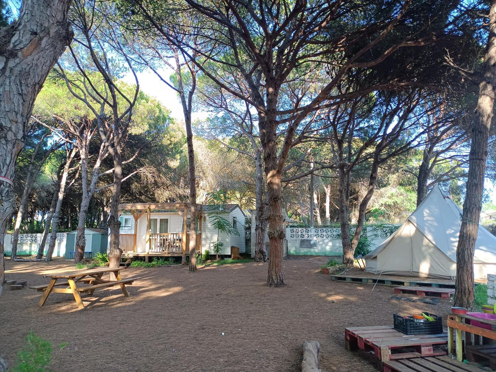The Pineforest Cabin Chiclana de la Frontera Buitenkant foto
